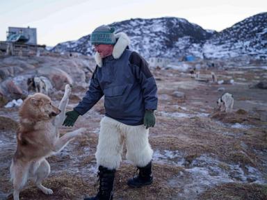 a-greenland-sled-dog-champion-fears-for-his-culture-as-climate-change-melts-the-ice
