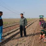 from-automated-farm-tractors-to-exam-paper-grading,-ai-boosts-efficiency-for-some-in-india