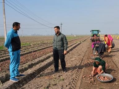 from-automated-farm-tractors-to-exam-paper-grading,-ai-boosts-efficiency-for-some-in-india