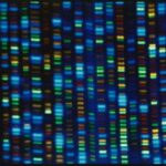 studies-test-whether-gene-editing-can-fix-high-cholesterol.-for-now,-take-your-medicine