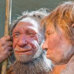 genetic-analysis-reveals-new-details-on-ancient-human-and-neanderthal-couplings