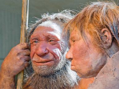 genetic-analysis-reveals-new-details-on-ancient-human-and-neanderthal-couplings