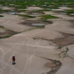 heat-waves-that-spark-damaging-droughts-are-happening-more-frequently,-study-finds