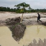 cocoa-beans-rot-and-west-african-farmers-seek-other-options-after-commodity-crash