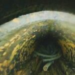 drone-video-from-inside-a-fukushima-reactor-shows-a-hole-in-pressure-vessel,-likely-fuel-debris