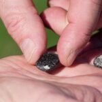 meteorite-hunters-scour-ohio-for-fragments-of-7-ton-space-rock-that-crashed-into-earth