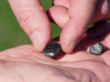 meteorite-hunters-scour-ohio-for-fragments-of-7-ton-space-rock-that-crashed-into-earth