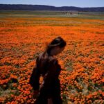 welcome-to-allergy-season.-here’s-how-to-protect-yourself