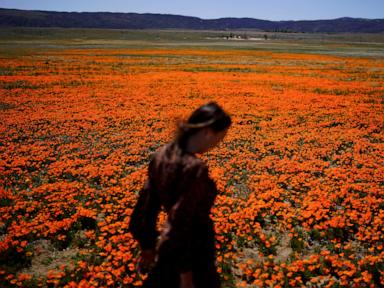 welcome-to-allergy-season.-here’s-how-to-protect-yourself