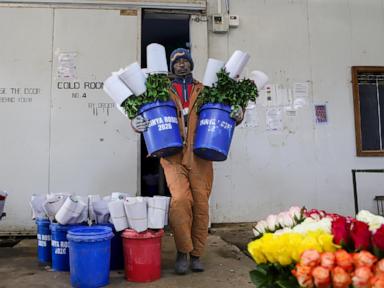kenya’s-flower-industry-loses-millions-of-dollars-weekly-due-to-the-iran-war