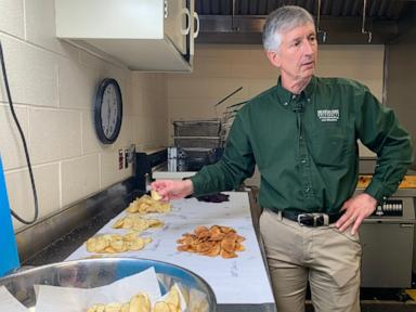 researchers-spent-decades-breeding-better-potatoes-for-chips,-and-the-work-isn’t-done