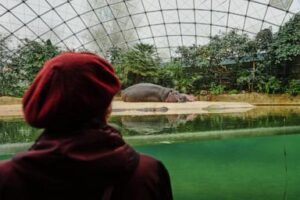 a-specialized-tour-at-the-berlin-zoo-brings-joy-to-people-living-with-dementia