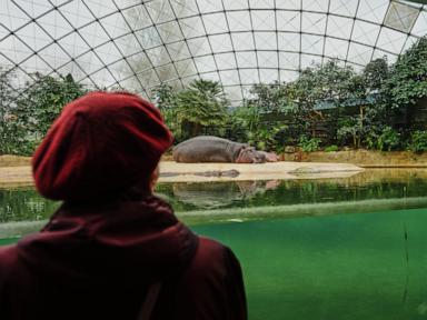 a-specialized-tour-at-the-berlin-zoo-brings-joy-to-people-living-with-dementia