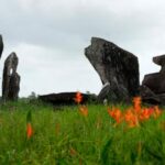 archaeological-digs-in-amazon-provide-clues-about-indigenous-inhabitants-before-colonization