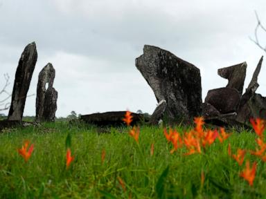 archaeological-digs-in-amazon-provide-clues-about-indigenous-inhabitants-before-colonization