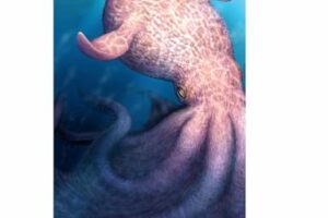 a-massive-kraken-like-octopus-may-have-prowled-the-seas-during-the-age-of-dinosaurs
