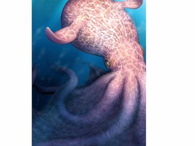 a-massive-kraken-like-octopus-may-have-prowled-the-seas-during-the-age-of-dinosaurs