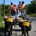 us-energy-blockade-leaves-cuban-farmers-struggling-to-feed-a-nation