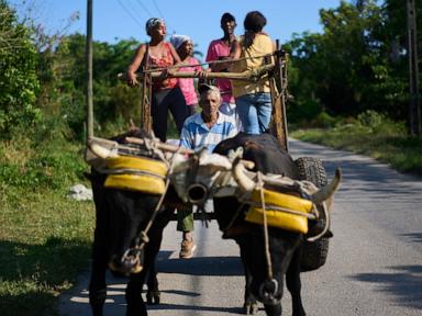 us-energy-blockade-leaves-cuban-farmers-struggling-to-feed-a-nation