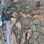 hezbollah-adopts-a-new-weapon:-fiber-optic-drones,-used-widely-in-the-war-in-ukraine