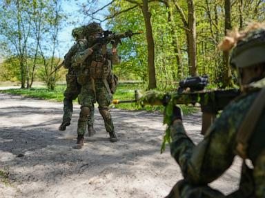 royal-recruits-boost-volunteers-as-the-netherlands-builds-up-its-military-reservists