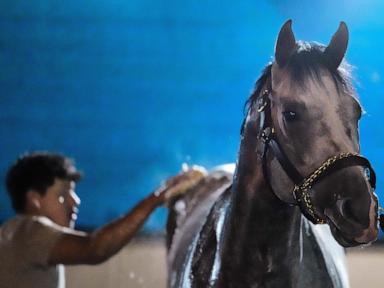 fulleffort-scratched-from-the-kentucky-derby,-putting-ocelli-into-the-race