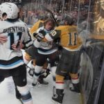 does-the-nhl-need-more-replay-reviews-for-penalties-and-scrums-or-would-they-slow-the-game?