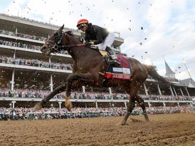 kentucky-derby-winner-golden-tempo-is-not-running-in-the-preakness