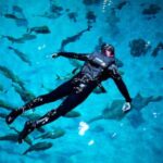 injured-us-military-veterans-find-relief-and-awe-swimming-with-a-whale-shark-at-georgia-aquarium