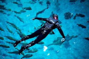 injured-us-military-veterans-find-relief-and-awe-swimming-with-a-whale-shark-at-georgia-aquarium