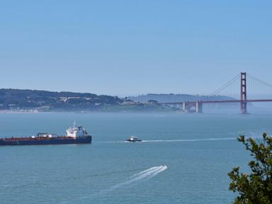 a-new-whale-detection-network-launches-in-san-francisco-bay