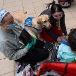 healing-with-a-wag-and-a-nuzzle,-meet-the-dogs-brightening-hospital-days,-in-photos