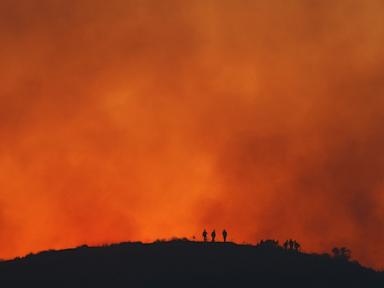 wildfires-are-making-us-smoggy-again,-reversing-progress-on-cleaner-air,-study-finds