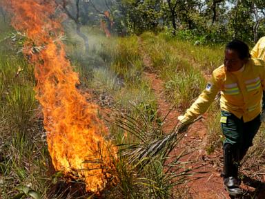 in-brazil’s-cerrado-region,-indigenous-fire-practices-reshape-wildfire-strategy