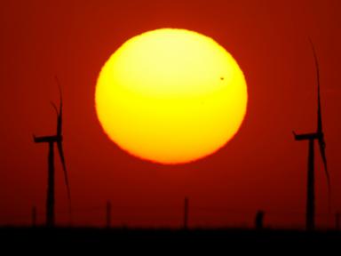 pentagon-reviews-are-blocking-wind-farms,-putting-jobs-at-risk,-lawsuit-says
