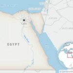 ex-egyptian-doctor-detained-over-hospital-abuse-allegations,-released-on-bail