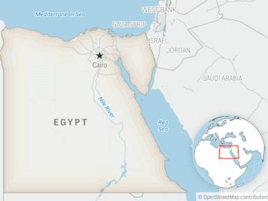 ex-egyptian-doctor-detained-over-hospital-abuse-allegations,-released-on-bail