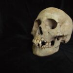ancient-teeth-rewrite-the-plague’s-timeline,-dating-back-to-over-5,500-years-ago