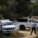 founder-of-assassin’s-creed-maker-ubisoft-killed-in-plane-crash-in-western-france