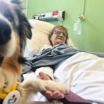 a-cancer-patient’s-cats-inspired-a-push-for-pets-in-hospice-wards