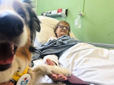 a-cancer-patient’s-cats-inspired-a-push-for-pets-in-hospice-wards