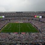 fifa-selling-the-field-to-be-used-for-the-world-cup-final-in-$450-pieces