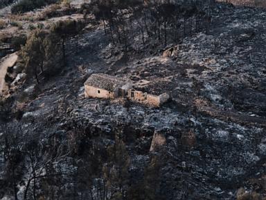 hundreds-of-firefighters-battle-wildfire-in-southern-spain-that-killed-at-least-12