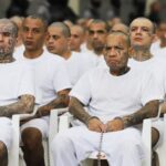 a-mass-trial-of-ms-13-gang-members-in-el-salvador-wraps-up-in-el-salvador