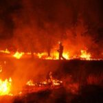 firefighters-say-they’ve-never-seen-anything-like-spain’s-record-blaze