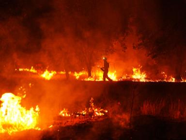 firefighters-say-they’ve-never-seen-anything-like-spain’s-record-blaze