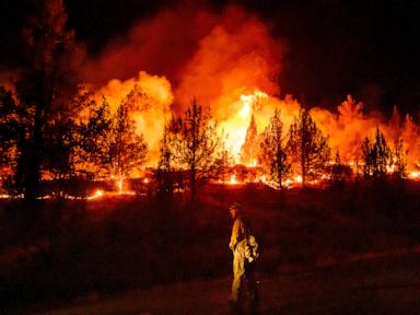 wildfires-are-more-extreme-in-europe-and-north-america