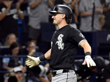 white-sox-hit-4-homers-to-cruise-past-the-rays-6-1