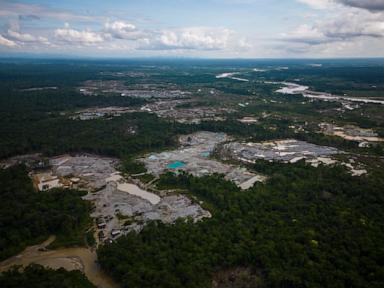 five-amazon-countries-arrest-hundreds-in-major-crackdown-on-environmental-crime