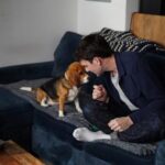 gene-edited-beagles-may-offer-a-future-option-for-people-with-dog-allergies